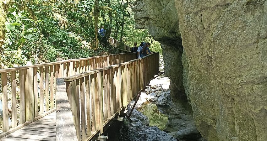 YAPRAK DÖKÜMÜNDE RENKLERİN CÜMBÜŞÜ KASTAMONU KANYONLAR SAMANDERE ŞELALESİ DÜZCE ZONGULDAK TURU / 2 GECE KONAKLAMALI / İSTANBUL ÇIKIŞLI