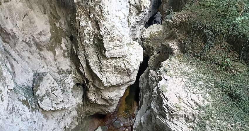 YAPRAK DÖKÜMÜNDE RENKLERİN CÜMBÜŞÜ KASTAMONU KANYONLAR SAMANDERE ŞELALESİ DÜZCE ZONGULDAK TURU / 2 GECE KONAKLAMALI / İSTANBUL ÇIKIŞLI