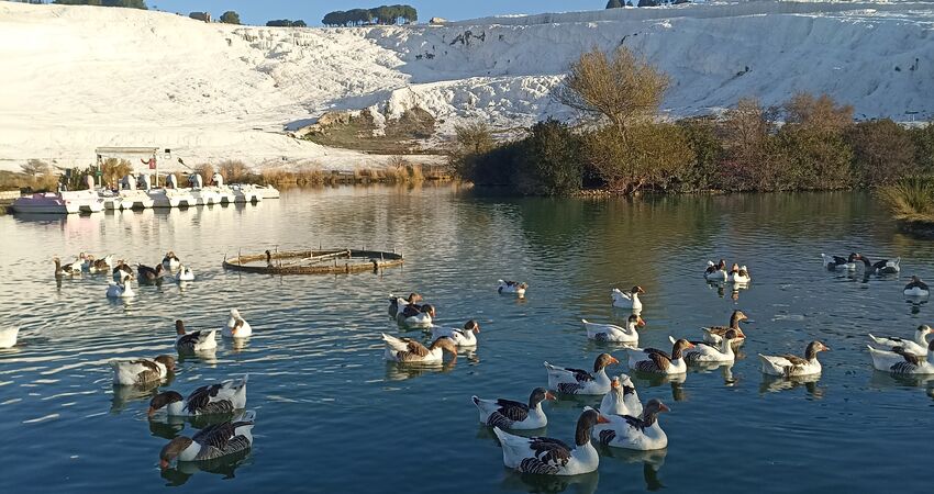 Pamukkale Kar Ve Termal      NİKFER BOZDAĞ KAYAK MERKEZİ BAĞBAŞI YAYLASI TELEFERİK